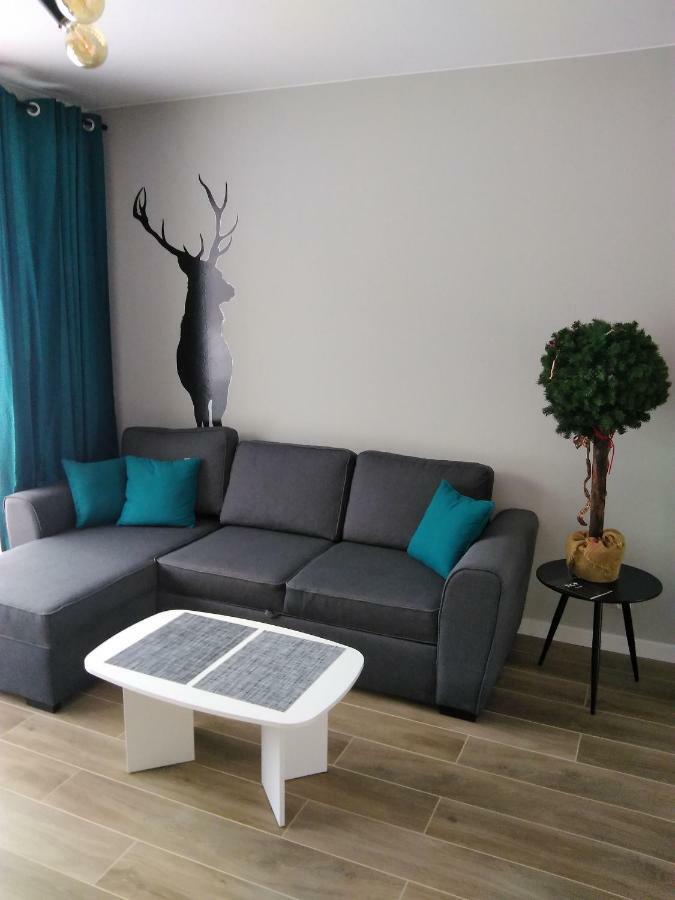 Apartament Relaks W Spokojnej Okolicy - Sun&Sport シュチルク エクステリア 写真